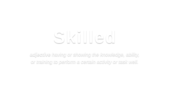 Skilled   /skɪld/ adjective having or showing the knowledge, ability,  or training to perform a certain activity or task well.